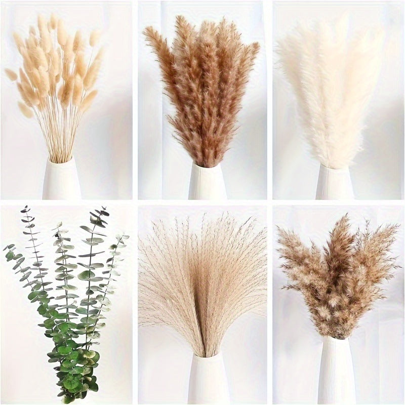 Rabbit Tail Grass Dried Flower Eternal Flower