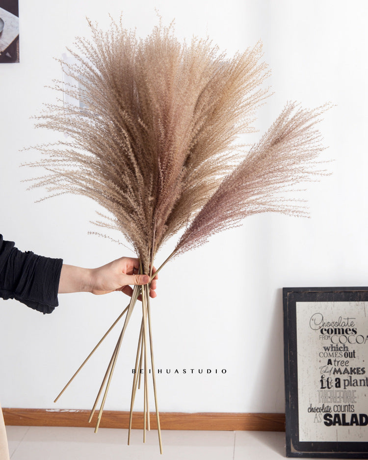 Dried flower reed flower