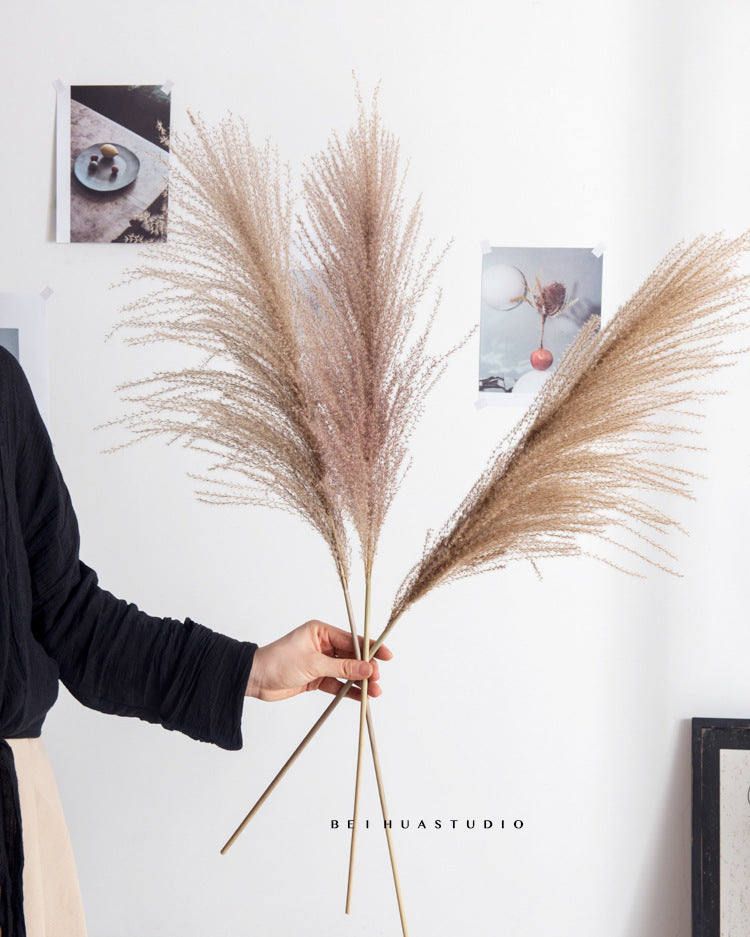 Dried flower reed flower