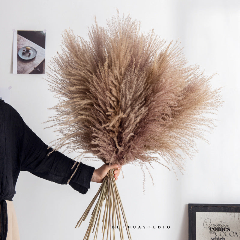 Dried flower reed flower