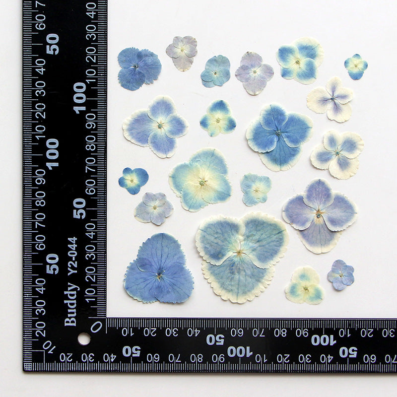 Peacock Hydrangea Dried Flower Embossed Face Flower True Flower Plant Bookmark Flower