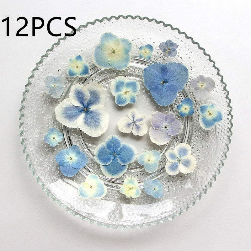 Peacock Hydrangea Dried Flower Embossed Face Flower True Flower Plant Bookmark Flower