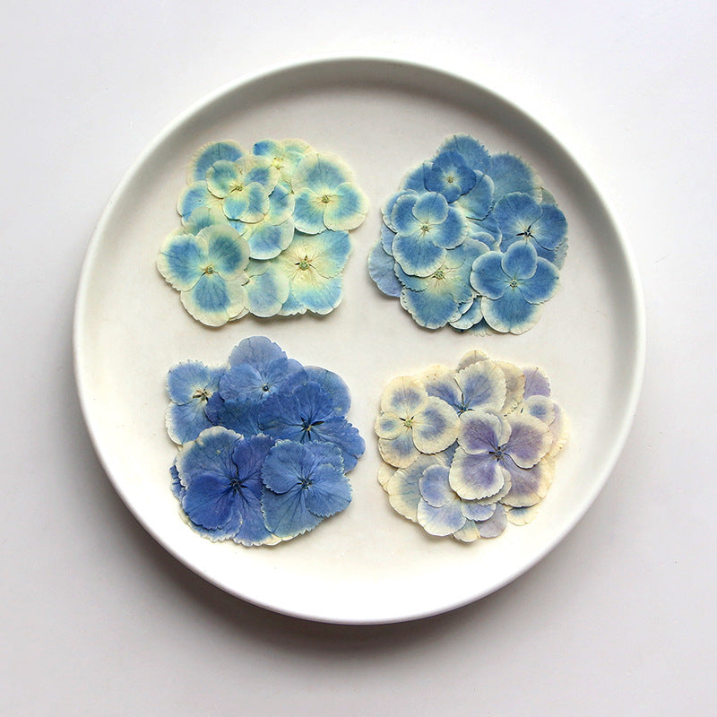 Peacock Hydrangea Dried Flower Embossed Face Flower True Flower Plant Bookmark Flower