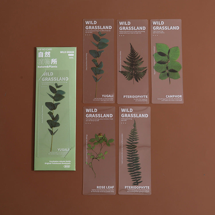 Dried Flower Bookmark Natural Plant Daisy Literary Bookmark