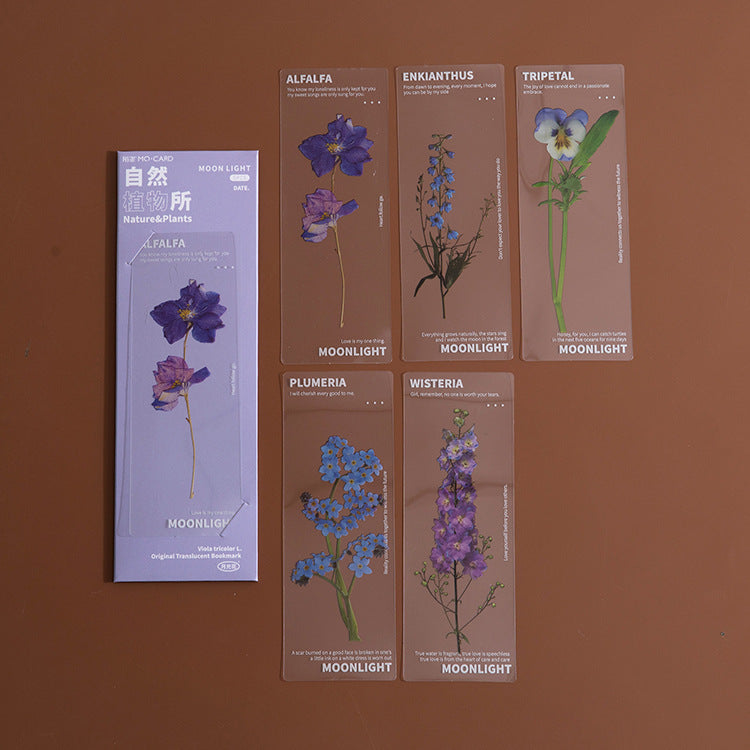 Dried Flower Bookmark Natural Plant Daisy Literary Bookmark