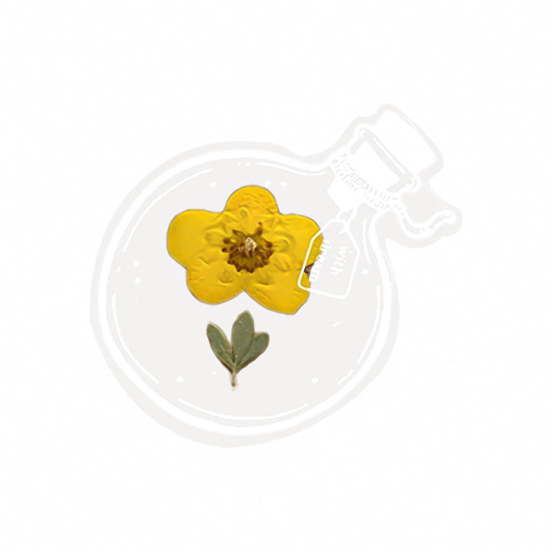 Handmade Dried Flower Bookmark Diy Material Sticker